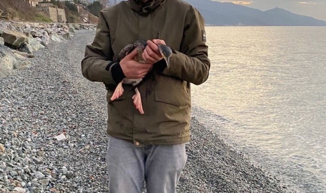 Yalova'da balıkçı ağına takılan karabatak kurtarıldı