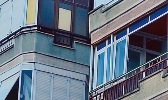 Yalova'da çatıya çıkan köpeği itfaiye ekipleri indirdi