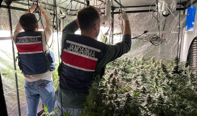 Yalova'da evini uyuşturucu serasına çeviren şahıs gözaltına alındı