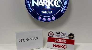 Yalova'da uyuşturucu operasyonu: 1 tutuklama