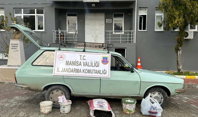 Zeytin hırsızları suçüstü yakalandı