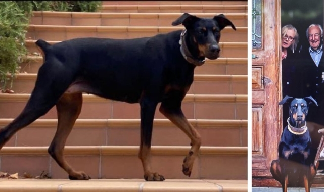 200 gündür haber alınamayan Korhan Berzeg'in araçla kaçırıldığı iddia ediliyor