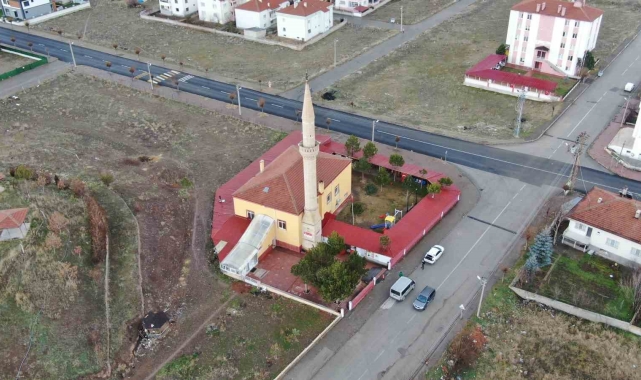 Ağaçlar kesilmedi ortaya ilginç görüntüler çıktı
