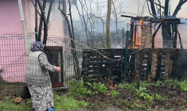 Ahıra kurulan soba hayvanları telef etti, yaşlı kadın sinir krizi geçirdi