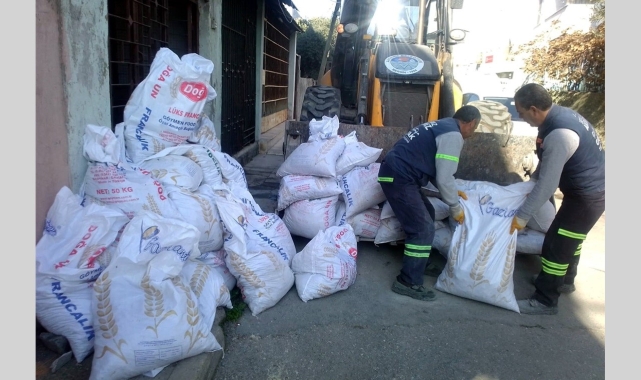 Akdeniz'de temizlik çalışmaları