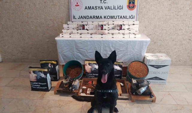 Amasya'da 20 bin dal kaçak makaron ele geçirildi