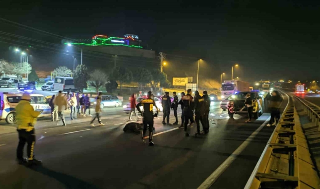 Aniden yola fırlayan başıboş inek ve buzağıya kamyonet çarptı