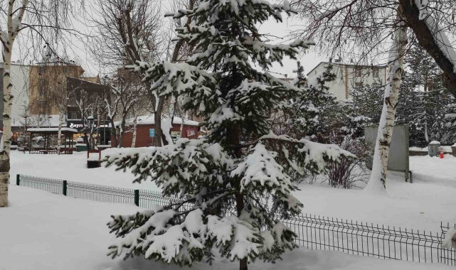 Ardahan'da karla gelen eşsiz güzellik