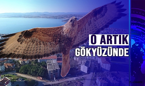 ARTIK GÖKYÜZÜNDE!