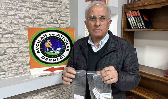 Ayıların şehirlere inmesini önlemek için ormanlara meyve tohumları ekiyorlar