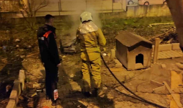 Bahçe yangınında "köpek" paniği