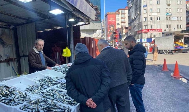 Balık tezgahlarında istavrit bolluğu yaşanıyor