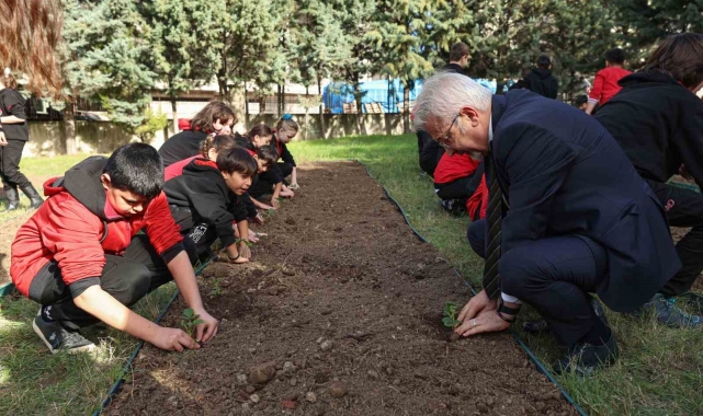 Başkan Erdem öğrencilerle çilek ve marul fidesi dikti