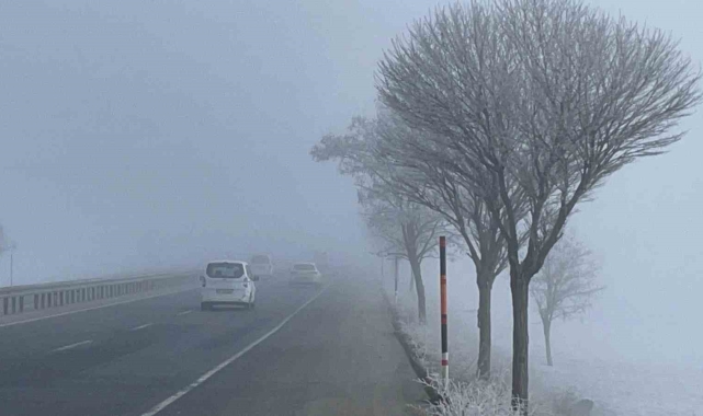 Bitlis'te ağaçlar kırağı tuttu