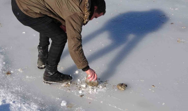 Bitlis'te göletler dondu