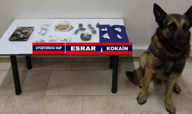 Bolu'da uyuşturucu operasyonu