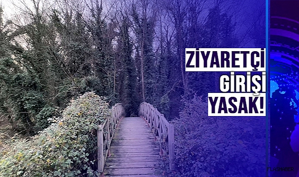 BU ORMANA SADECE O KİŞİLER GİREBİLİYOR!