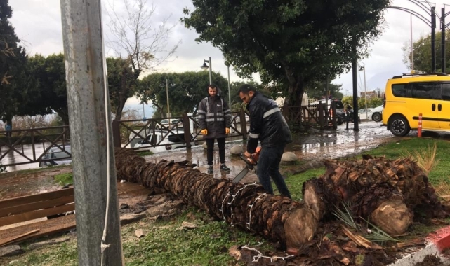 Büyükşehir fırtına için seferber oldu