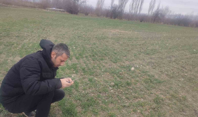 Çiftçilere yönelik bilgilendirme ve bitki kontrolleri yapıldı