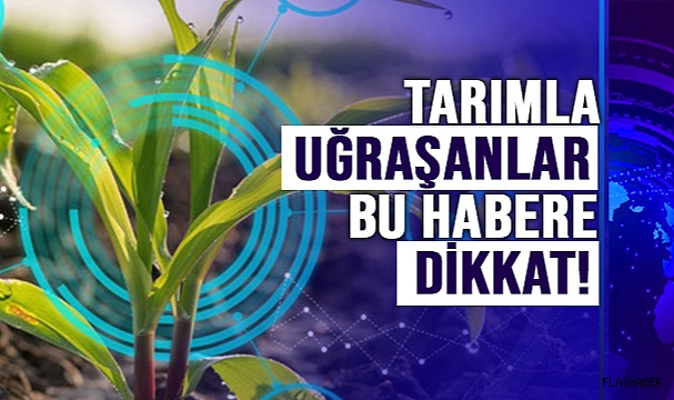 DERECELENDİRME DÖNEMİ BAŞLADI