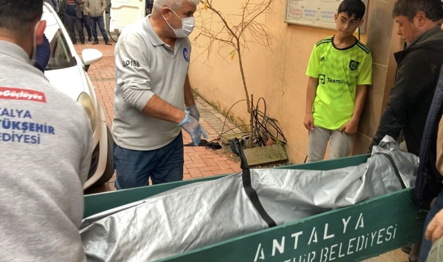 Diş hekimi başından silahla vurulmuş halde ölü bulundu