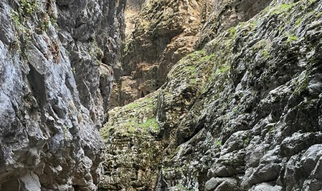 Doğanın eşsiz manzarası müzik eşliğinde sergilendi