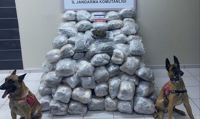 Dorse tabanında uyuşturucu taşıyan şüpheli tutuklandı