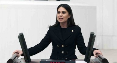 Dünya Çam balının merkezine 'Arıcılık Enstitüsü' için kanun teklifi