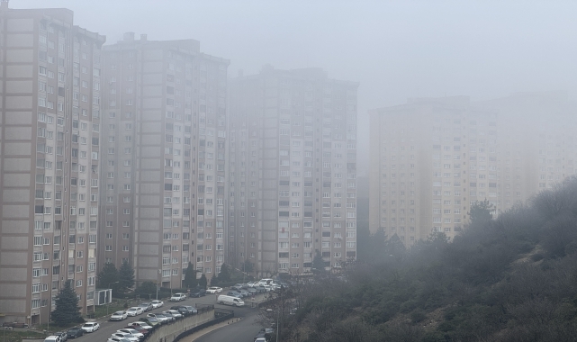 Düzce ve Karabük'te sis etkili oldu