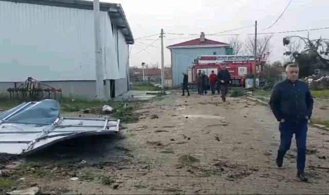 Edirne'de hortum çatıları uçurdu, ağaç ve direkleri devirdi