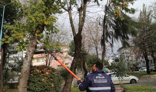 Efeler'in ekipleri park ve bahçelerde bakım çalışması yapıyor