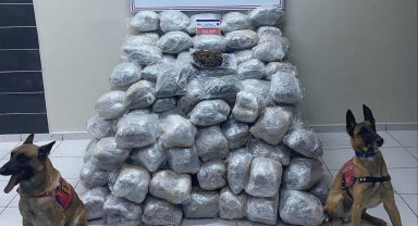 Elazığ'da 138 kilo skunk ele geçirildi