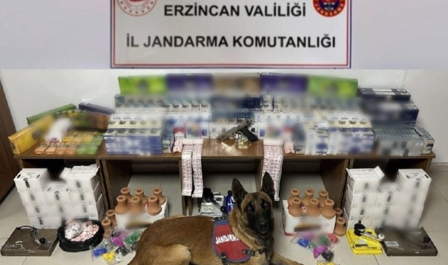 Erzincan'da jandarma ekiplerinden kaçak sigara operasyonu