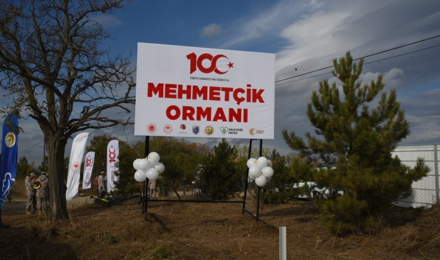 Eskişehir Orman Bölge Müdürlüğü 2023 yılında 1 milyon 264 bin fidan dikti