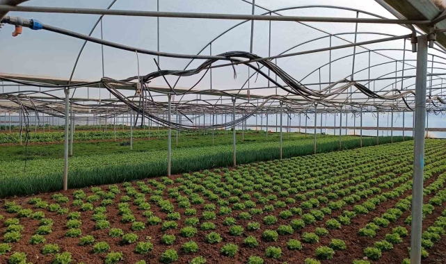 Eskişehir'de Kırsal Kalkınma Destekleri başvuruları başladı