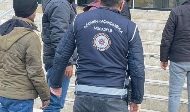 Gümüşhane'de göçmen kaçakçılığı operasyonu: 1 kişi tutuklandı