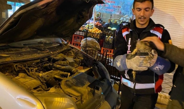 Iğdır'da otomobilin motoruna sıkışan yavru kedi kurtarıldı