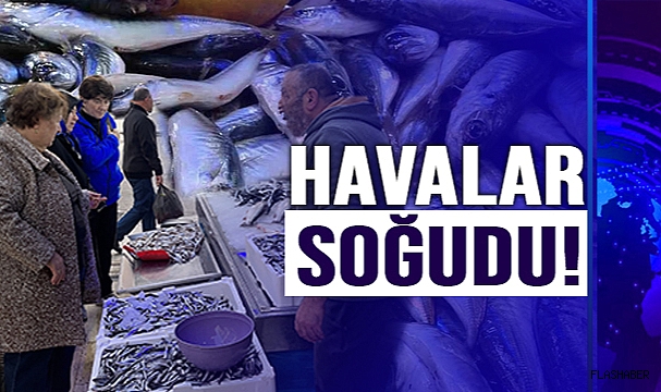 İLGİ ARTTI!