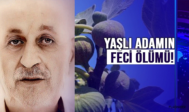 İNCİR AĞACI SONU OLDU!