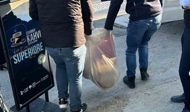 İzmir'de 3 köpek telef oldu, 2 köpek tedaviye alındı