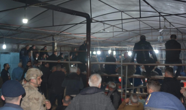 İzmir&#039;de horoz dövüşü yaptıranlara jandarmadan operasyon