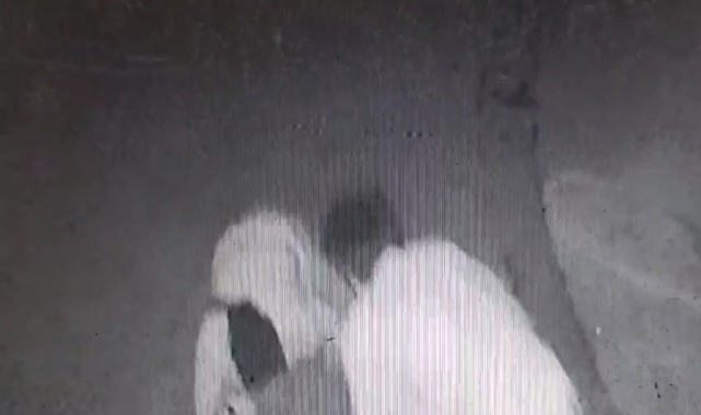 İzmir'deki 'laf atma' cinayetinin görüntüsü ortaya çıktı