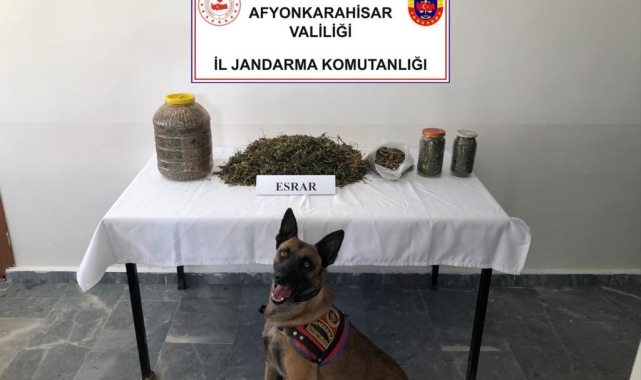 Jandarma 1 kilo 868 gram esrar ele geçirdi