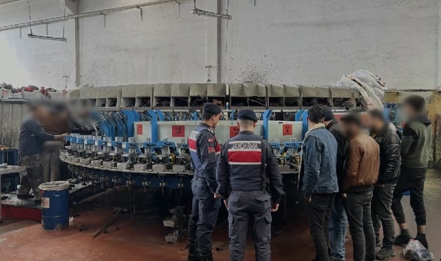 Kaçak göçmen çalıştıran işletmeye 8 milyon 268 bin TL cezai işlem