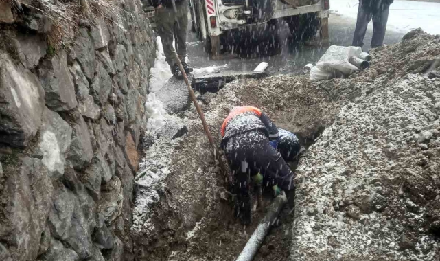 Kar yağışı altında hummalı çalıma