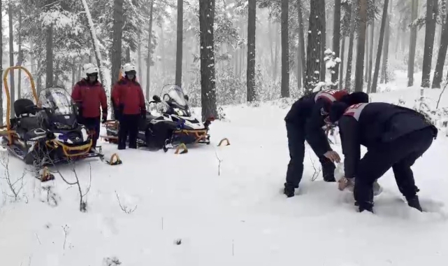Kars'ta jandarma yaban hayvanlarına yiyecek bıraktı