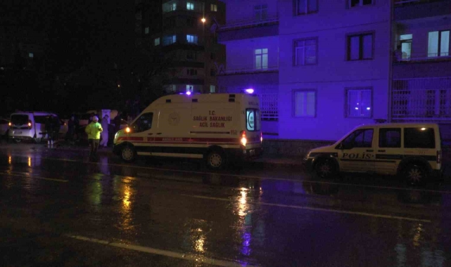 Kayseri'de hafif ticari aracın çarptığı yaşlı kadın hayatını kaybetti