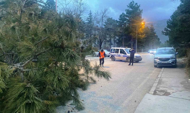 Konya'da şiddetli fırtınada 1 kişi yaralandı