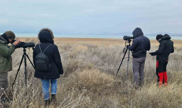 Konya'nın su kuşu varlığına sahip göllerinde sayım çalışmaları tamamlandı