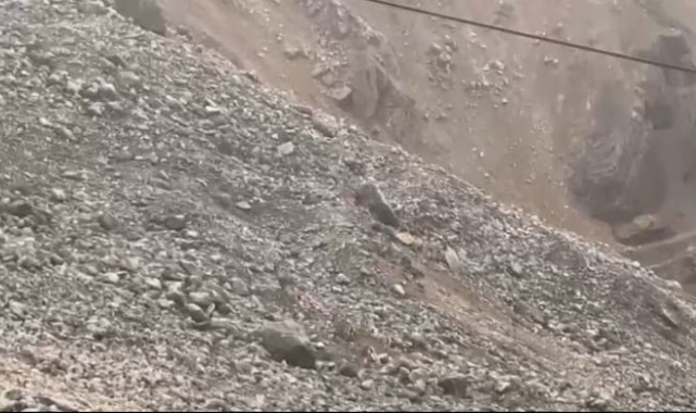 Malatya'da yaban keçileri sürü halinde görüntülendi